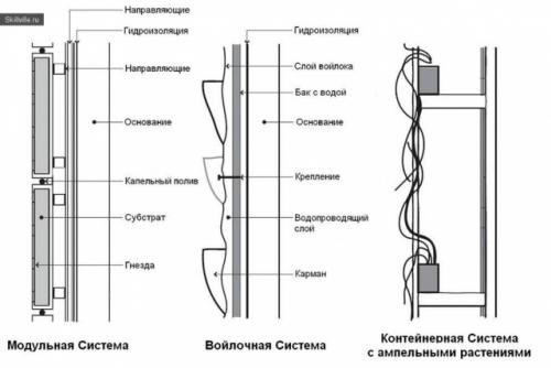 Зеленая стена из растений своими руками. Как сделать «зеленую стену» своими руками