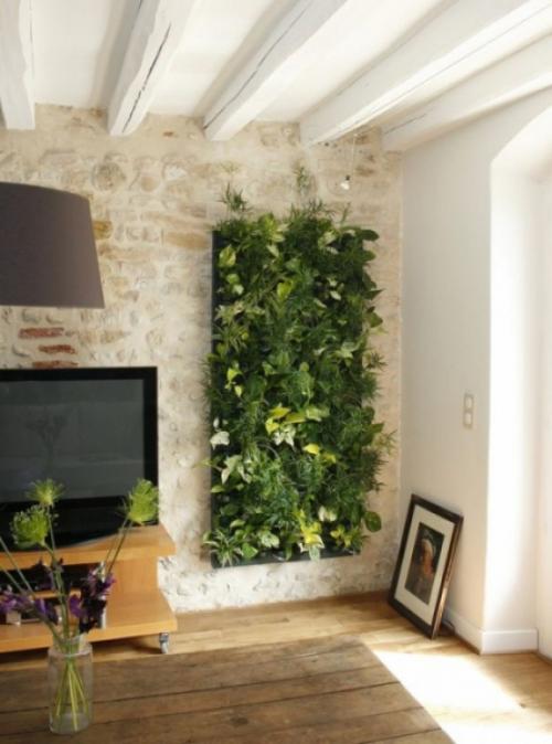 Как сделать фитостену и ухаживать за ней. Фитостена из мха своими руками для квартиры, дома: как сделать, фото 20 Как сделать фитостену и ухаживать за ней. Фитостена из мха своими руками для квартиры, дома: как сделать, фото 20