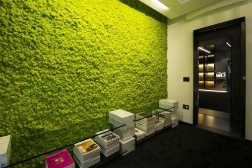 Растения для фитостены