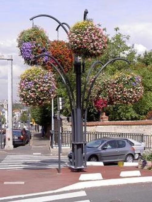 Живая стена на улице. Вертикальное озеленение – ударим объемом зелени по нашим 6-ти соткам!