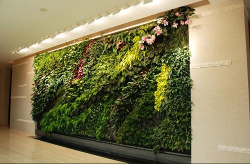 Стена из цветов. Вертикальное озеленение и другие варианты создания зелёных зон в квартире