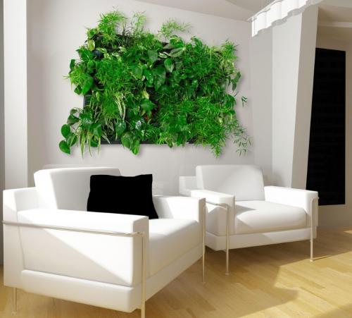 Достоинства зеленой стены из растений в квартире. Выбор растений для вертикального озеленения квартиры
