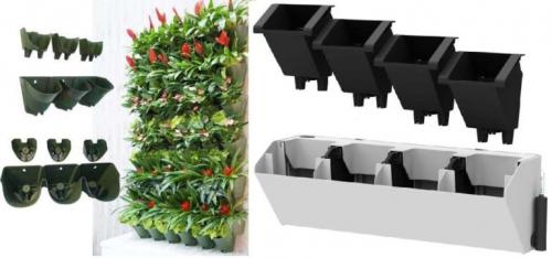 Зеленая стена из растений в квартире. Фитостены с растениями в горшках