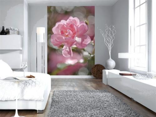 Живые обои на стену. «Живые обои» новый тренд в ремонте