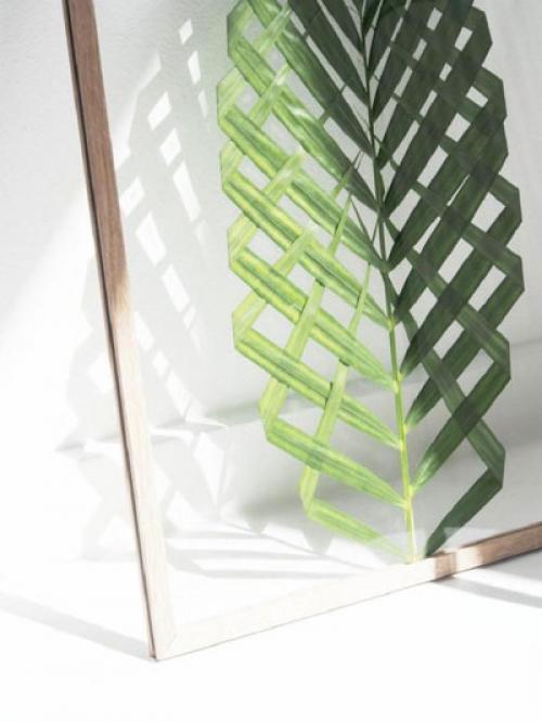 Картины из сухих растений. Картины из листьев и цветов своими руками: 70 идей