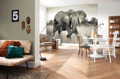 Живые обои на стену. «Живые обои» новый тренд в ремонте