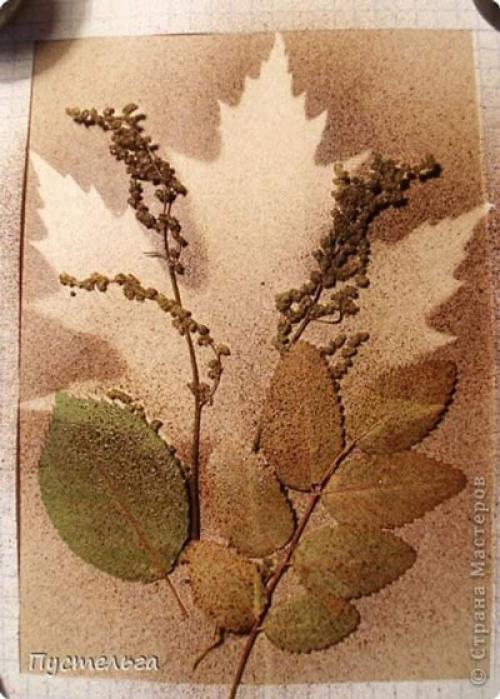 Картины из сухих растений. Картины из листьев и цветов своими руками: 70 идей