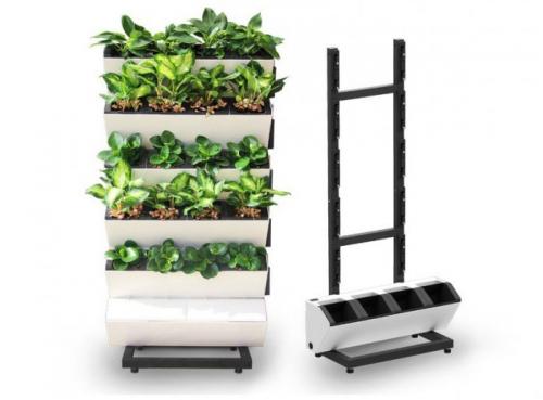 Фитостена с автополивом своими руками. Фитомодуль для вертикального озеленения с автополивом