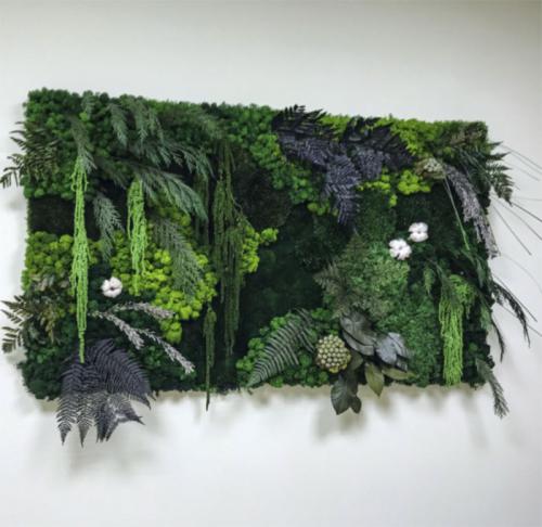 Фитостена с автополивом своими руками. Фитомодуль для вертикального озеленения с автополивом