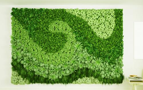 Фитостены с автополивом из живых растений. Основные заказчики фитостен: 13 Фитостены с автополивом из живых растений. Основные заказчики фитостен: 13