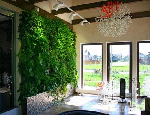 Фитостена с автополивом своими руками. Фитомодуль для вертикального озеленения с автополивом