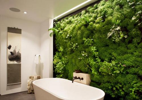 Живая стена из мха. Мох в интерьере ванной комнаты