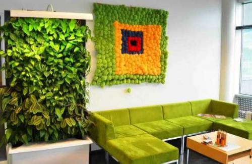Зеленая стена из растений в квартире. Фитостена и фитомодуль своими руками: особенности современного эко-дизайна
