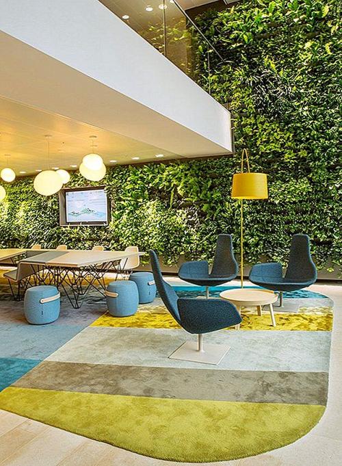 Виды вертикальных зеленых стен. Преимущества зеленых стен