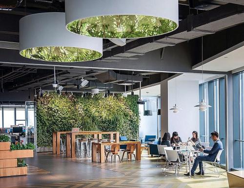 Виды вертикальных зеленых стен. Преимущества зеленых стен