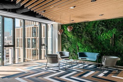 Виды вертикальных зеленых стен. Преимущества зеленых стен