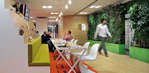 Виды вертикальных зеленых стен. Преимущества зеленых стен