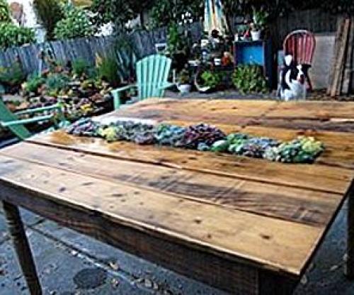 Виды вертикальных зеленых стен. Преимущества зеленых стен