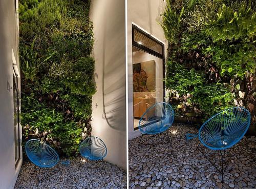 Виды вертикальных зеленых стен. Преимущества зеленых стен