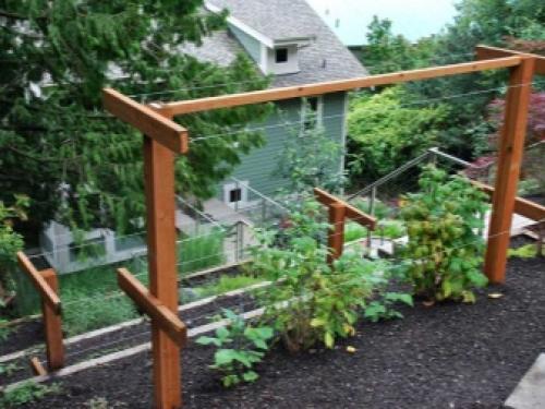 Шпалера и арки для плетистых роз своими руками Дачные дела. Как сделать своими руками? 08
