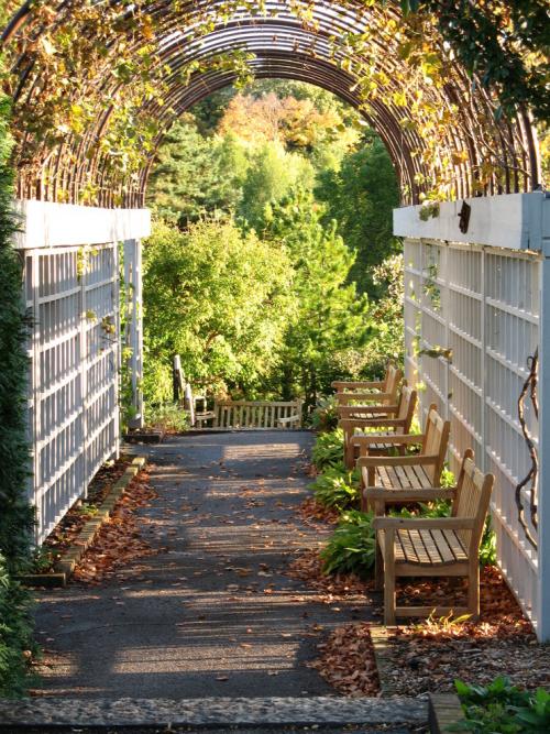 Строительство деревянной перголы своими руками. Изготовление перголы из дерева на садовом участке своими руками (с фото) 23 Строительство деревянной перголы своими руками. Изготовление перголы из дерева на садовом участке своими руками (с фото) 23