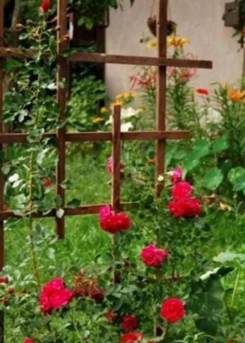 Шпалера и арки для плетистых роз своими руками Дачные дела. Как сделать своими руками? 01