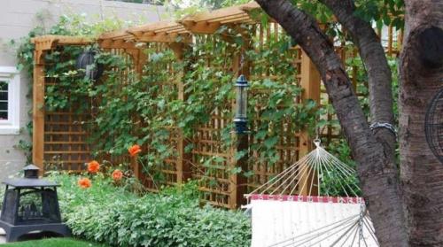 Деревянная шпалера для роз своими руками. Все, что нужно знать о деревянных шпалерах