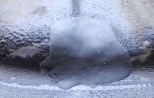 Как заделать дыру в металле без сварки. Заделка отверстий в металле без сварки