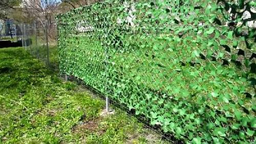 Живая изгородь на сетке рабице. Чем можно закрыть забор из сетки рабицы от соседей: непрозрачный низ