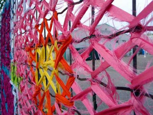 Живая изгородь на сетке рабице. Чем можно закрыть забор из сетки рабицы от соседей: непрозрачный низ