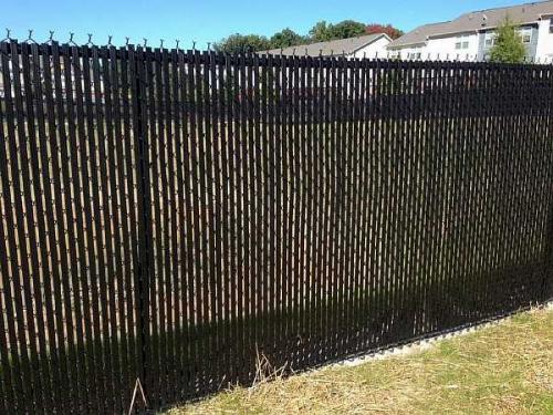 Живая изгородь на сетке рабице. Чем можно закрыть забор из сетки рабицы от соседей: непрозрачный низ