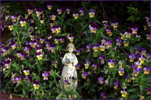 Теневыносливые растения примеры. Список тенелюбивых цветов и растений (21 фото), особенности ухода. Примеры посадки