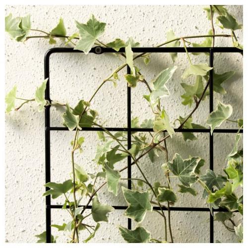 Из чего сделать шпалеру для вьющихся растений. Виды шпалер и какой материал лучше выбрать 05