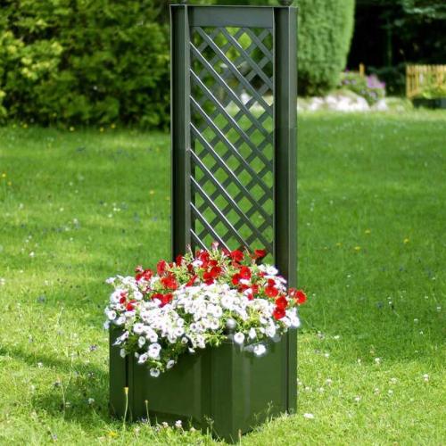 Из чего можно сделать шпалеру. Пошаговая инструкция создания шпалеры