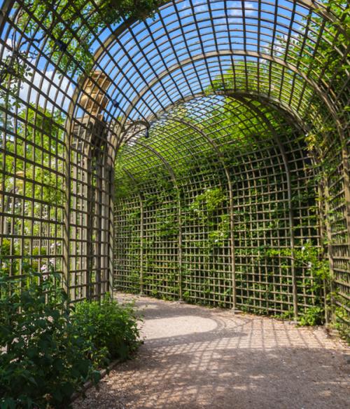 Из чего сделать шпалеру для вьющихся растений. Виды шпалер и какой материал лучше выбрать 28