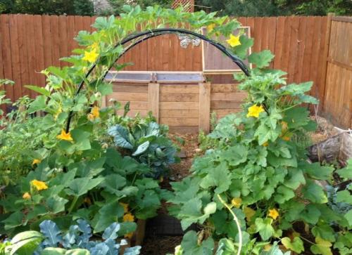 Опора для растений своими руками. Арки