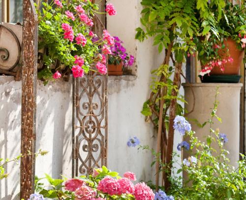 Из чего сделать шпалеру для вьющихся растений. Виды шпалер и какой материал лучше выбрать 25