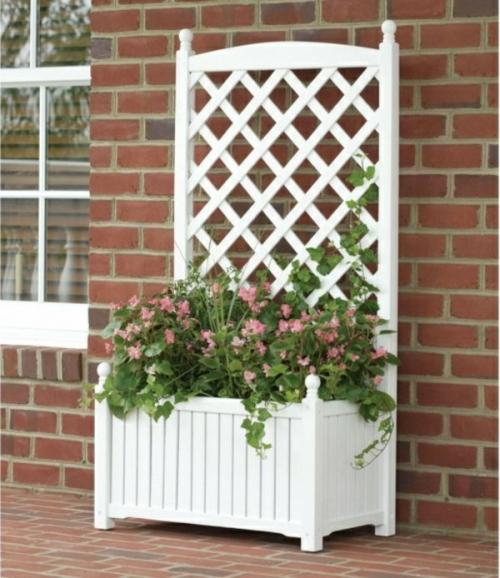 Шпалера своими руками для беседки. Материалы для изготовления шпалер