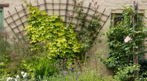 Начинаем устанавливать опоры для роз из подручных материалов. Как выбрать материал? 06