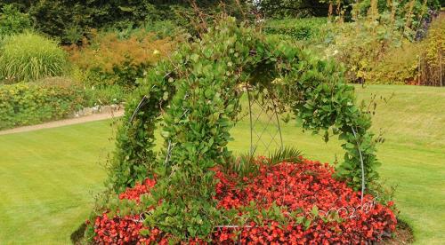 Начинаем устанавливать опоры для роз из подручных материалов. Как выбрать материал? 03