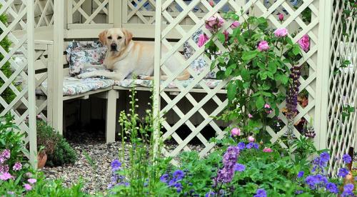 Начинаем устанавливать опоры для роз из подручных материалов. Как выбрать материал? 09