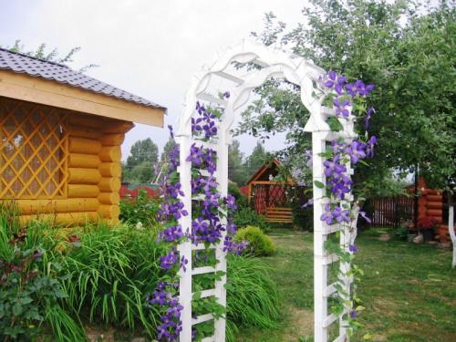 Ландшафтный дизайн участка с вертикальным озеленением