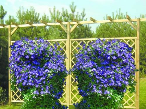 Ландшафтный дизайн участка с вертикальным озеленением