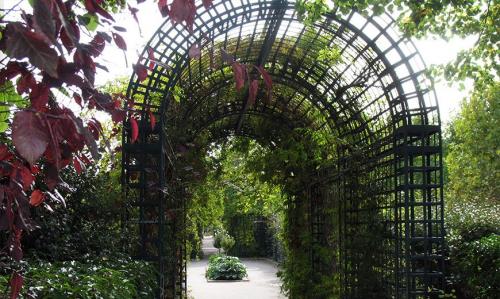 Технология вертикального озеленения. Вертикальное озеленение сада