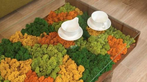 Мох в ландшафтном дизайне. Декоративный мох: подробный мастер-класс, как выбрать и использовать в ландшафтном дизайне (140 фото)