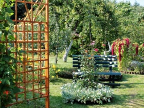 Пергола на даче своим руками. Строительство перголы из дерева 13 Пергола на даче своим руками. Строительство перголы из дерева 13