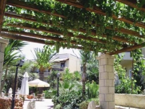 Пергола на даче своим руками. Строительство перголы из дерева 34 Пергола на даче своим руками. Строительство перголы из дерева 34