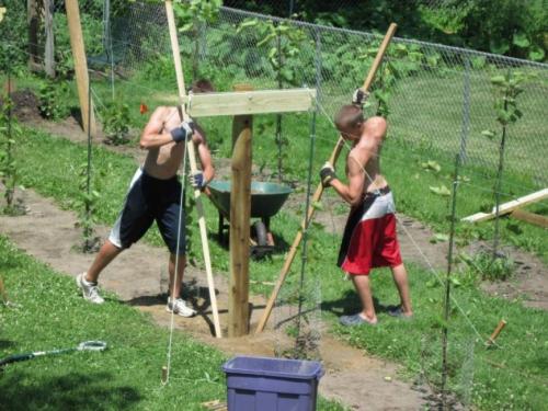 Опора для винограда своими руками. Шпалера для для подвязки винограда: инструкция с размерами и чертежами для изготовления своими руками | (Фото  Видео)+Отзывы