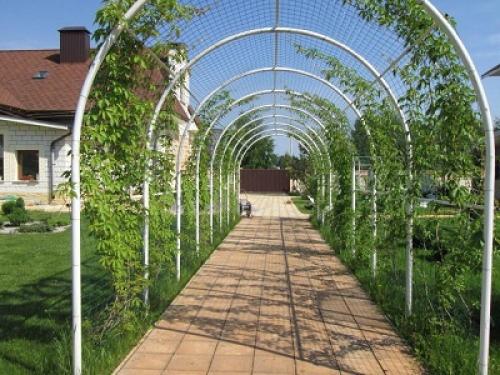 Двухплоскостная шпалера для винограда. Варианты схем