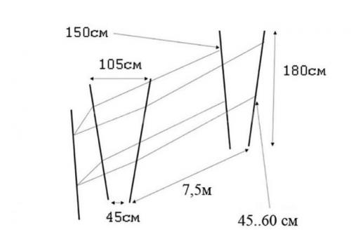 V-образная шпалера для винограда. Виды виноградных шпалер
